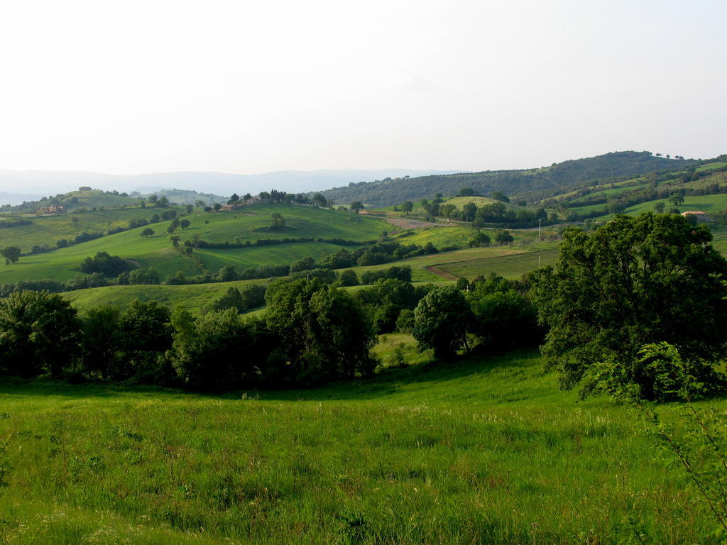Вилла Poggio Della Quercia Манчиано Экстерьер фото